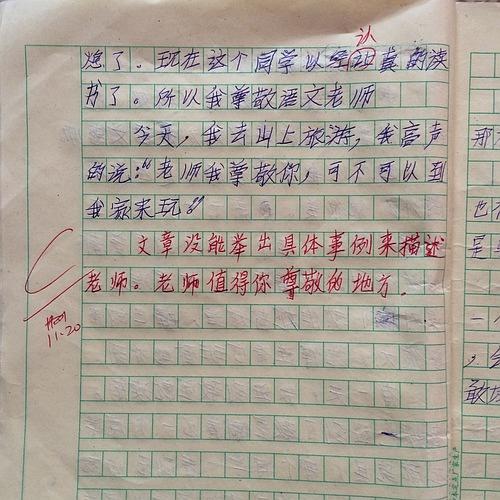 我为哥哥改变了作文