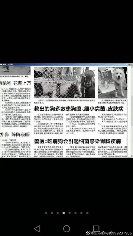 不要杀死一点生命