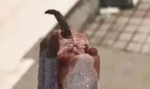 第一次一个人外出吃饭