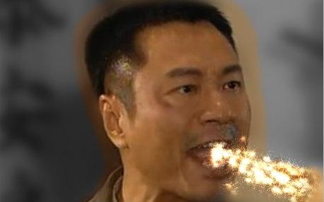 “敌人”的母亲