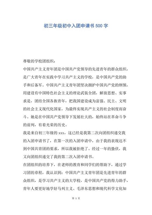 500字申请表