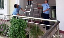 教室里的不速之客马蜂