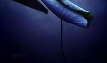 守住底线守住心中的宁静