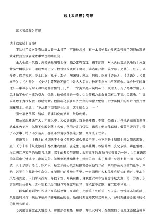 读《一心一建彩虹桥》的思考