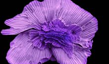 生命旅途中的恩人