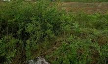 乡村我们的故乡