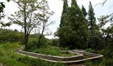 一次有惊无险的经历