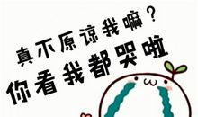 在规则面前我错了