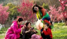 我来梅园找春天