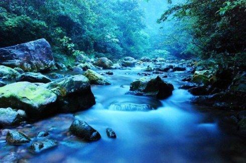 凝视着小河