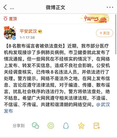 关于武汉流行病的构成