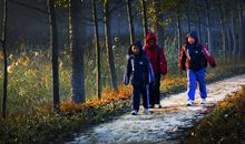 上学路上的母爱