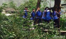 记“飞跃丛林”社会实践活动