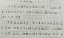 我的老师作文五年级