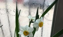 朱自清的春仿写夏