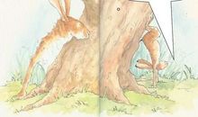 猜猜我有多爱你读后感