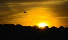 我在青岛看太阳