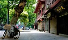 梧桐树下的等候