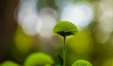 挫折也是一种成长