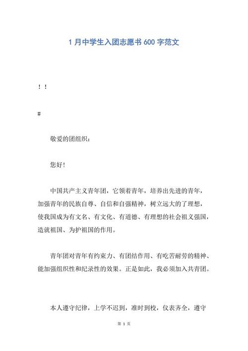 2015年最新的中专学生用600字的示例文章加入小组志愿者信
