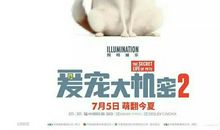 爱宠大机密2观后感