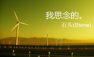 我心中的歌