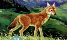 《豺王泪》读后感