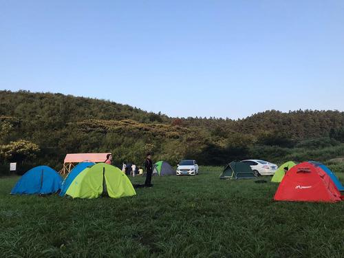 去野营