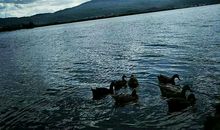 我的七彩云南之旅