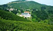 我心中故乡的山