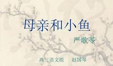母亲与小鱼读后感