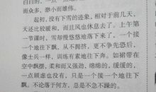 以年味为题的优秀作文