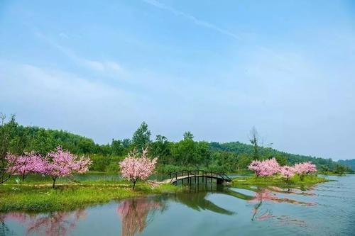 桃花源永远在