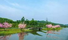 桃花源一直都在