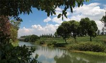 公园里的小伙伴