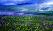 读《苦命的芳汀》有感