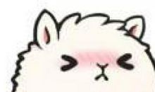 我和弟弟的小时光