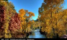 致溪流里的小美好