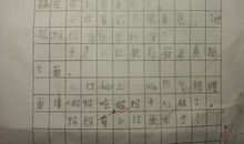 勇敢的鸡妈妈看图写话