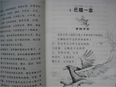 校园里的三剑客