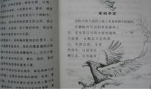 校园三剑客读后感