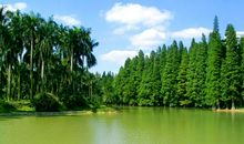 游南亚热带植物园