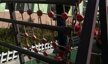 我们班的“体育小能手”