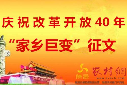 征集改革开放乡土变化的论文