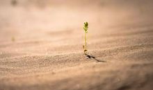 挫折是一种成长