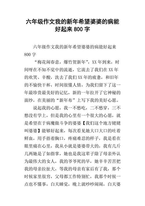 写婆婆的作文