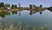 游姜山湿地公园