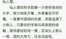 竹子借物喻人的作文