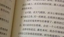 远方的呼唤作文800字