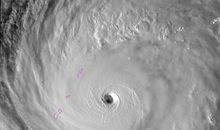 记忆深刻的山竹台风